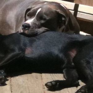 Meet your Posher, Sam